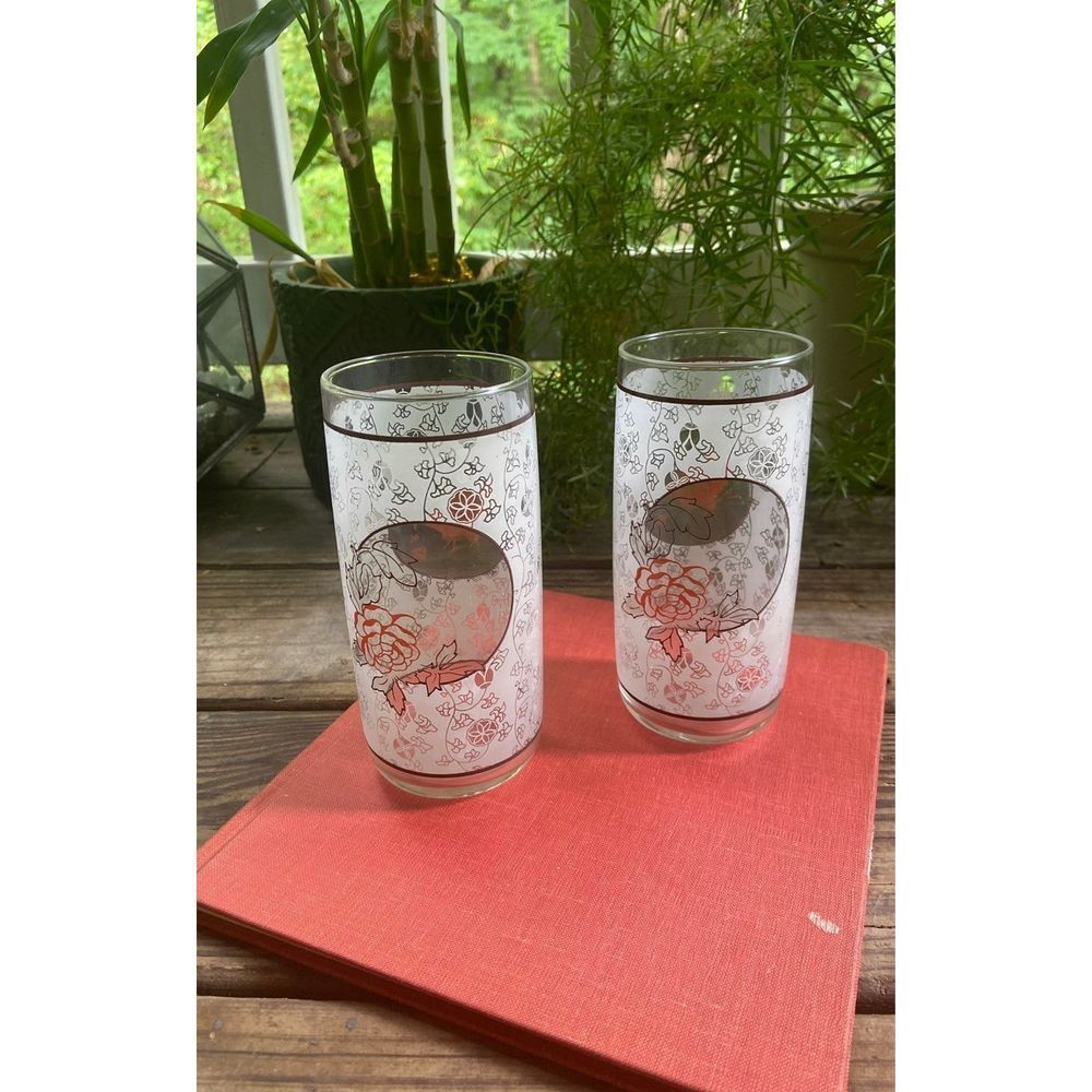 Pair of vintage midcentury modern water glasses